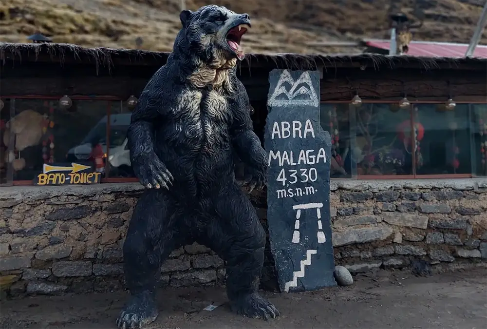 Machu Picchu Tour by Car via Hidroelectrica