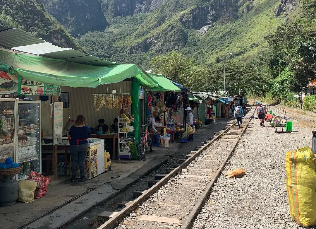 Machu Picchu Tour by Car via Hidroelectrica