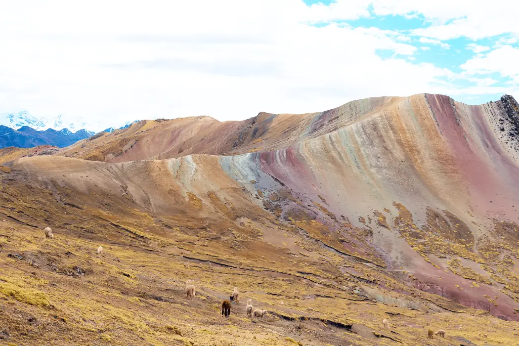 Palcoyo Mountain Full Day Tour